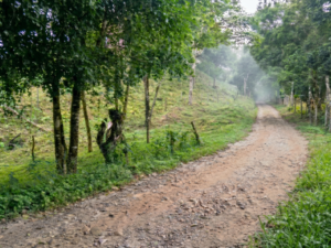Terreno en Venta en El Valle de Antón